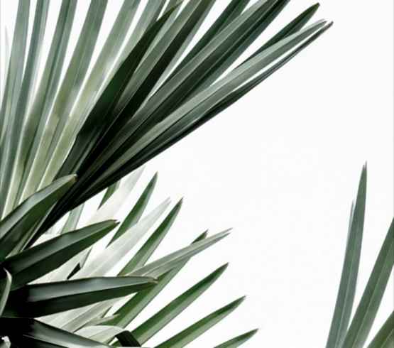 ПРО ИНТЕРВАЛЫ