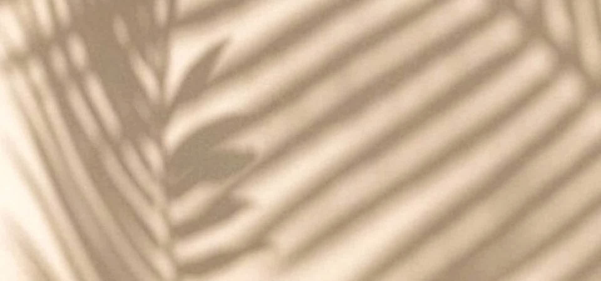 ОМОЛОДИТ И ОСВЕТЛИТ