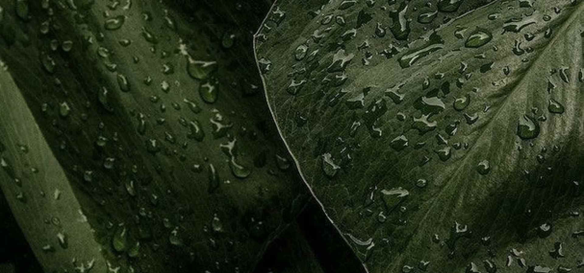 СТЕСНЯТЬСЯ - ВРЕДНО!