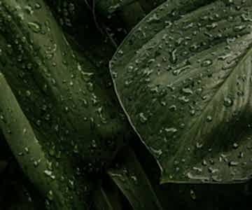 СТЕСНЯТЬСЯ - ВРЕДНО!